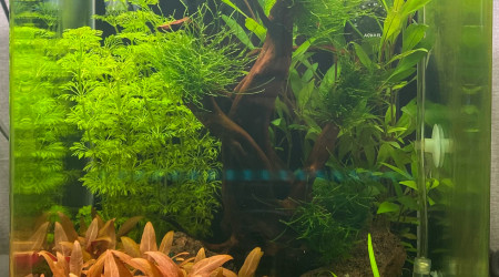 aquarium Nano 30L