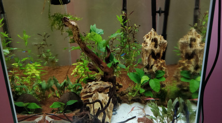 Réfection complète du bac.