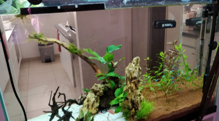 aquarium Premier bac 140L