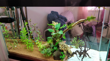 Réfection complète du bac.