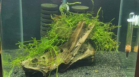 aquarium Denerle 30L