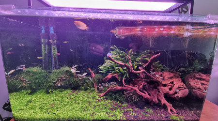 au 7 septembre (29j après la dernière photo)