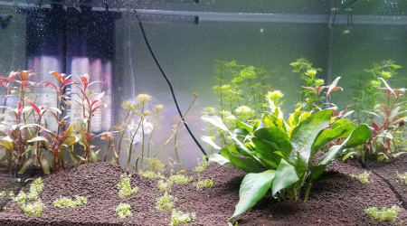 Une semaine après la remise en eau