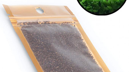 Graines Aquarium Plantes Trèfles