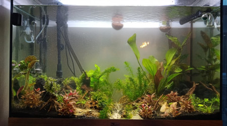 Update photo de profile