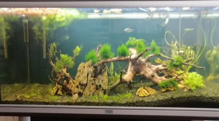 Mon 200L