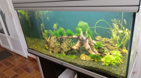 Mon 200L
