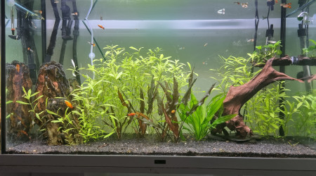 aquarium Mon 1er