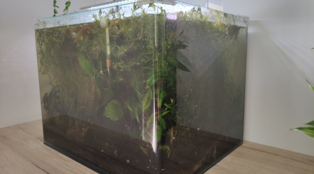 Dernière photo avant réfection