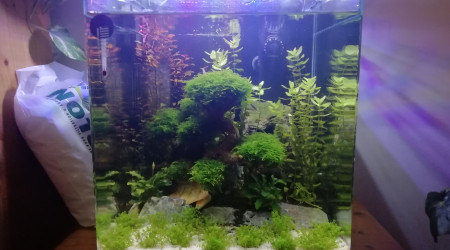 aquarium nano 30l betta