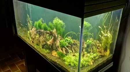 aquarium MON 200L