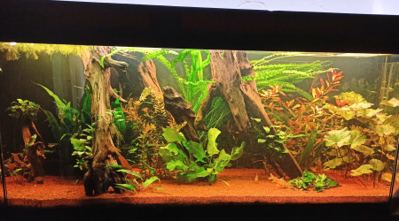 aquarium 400l