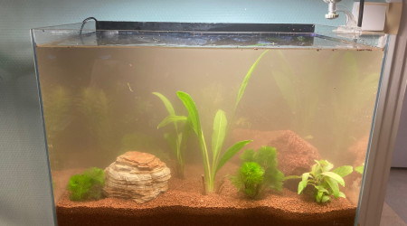 aquarium Premier 30L