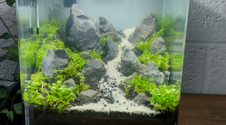 aquarium Nano Cube