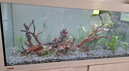 aquarium 240 litres asso anne philipe