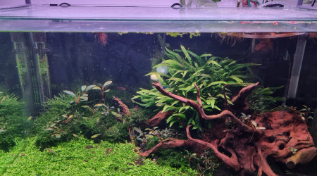 au 2 Octobre, 3 mois après remise en eau