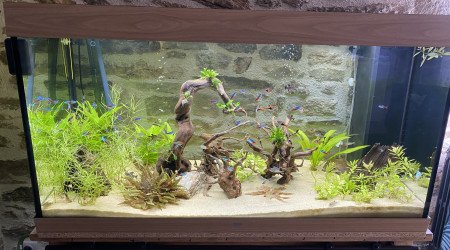 aquarium Bac communautaire 350 L