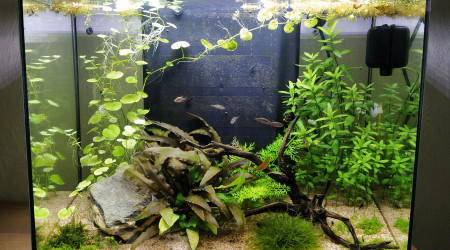 aquarium zolux idro 50