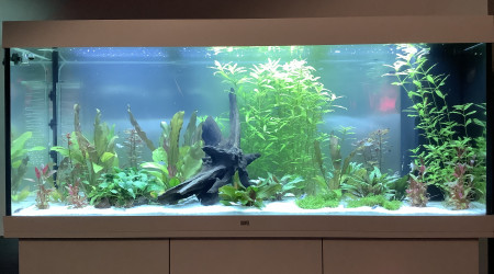 aquarium Rio 450