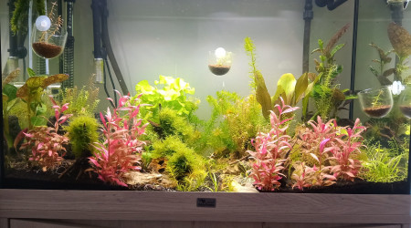 aquarium 150L