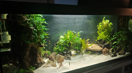 aquarium Juwel Rio 450