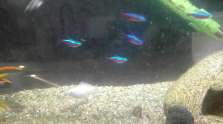 Crystal, Marine, Vague, Océan, Water et Rivière