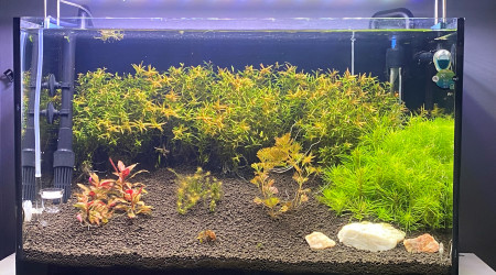 aquarium Aquarium 60L