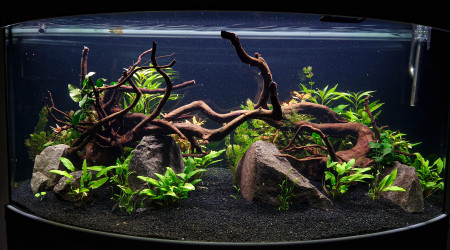 aquarium aquakaldi