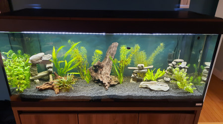 aquarium Première