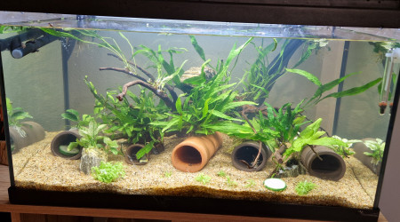 Changement de décor