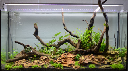 aquarium 112l