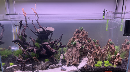 aquarium 112L