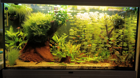 aquarium Aquatlantis expert 240L