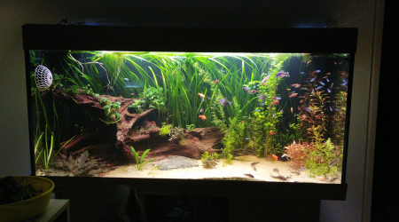 aquarium Juwel Rio 350L