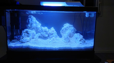 Pico Reef 30L