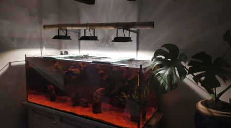 aquarium Mon nouveau bac