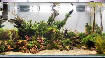 aquarium 250 Litre