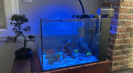 aquarium Peninsula mini 25