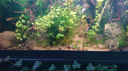 L'équipe de nettoyage