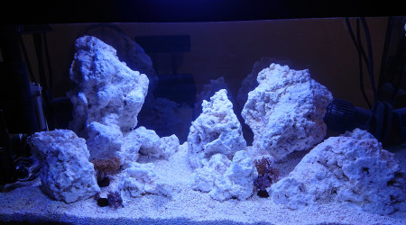 Pico Reef 30L
