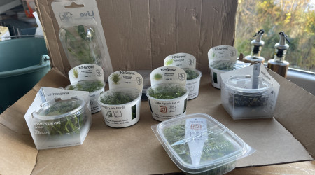 Mise en eau de Killi Watch