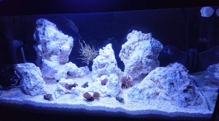 Pico Reef 30L