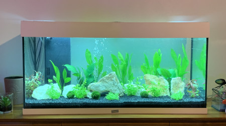 aquarium Aquarium 200 litres