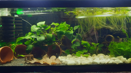 aquarium Bac 25l  CPO