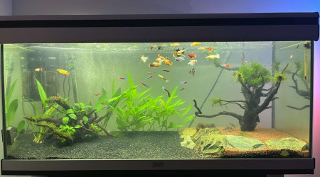 aquarium AquAL 200