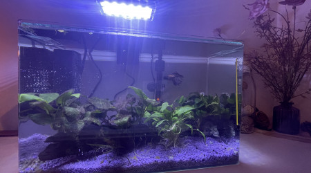 aquarium AquAL 25