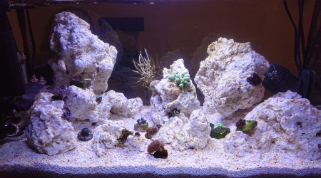 25ème jour en pleine période alguale