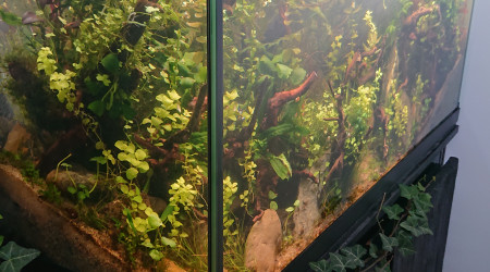 S+9 vue de l'angle gauche