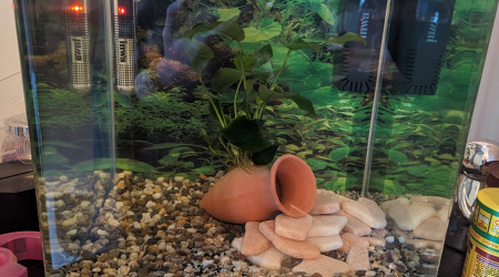 aquarium Salon