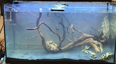 aquarium Papoys